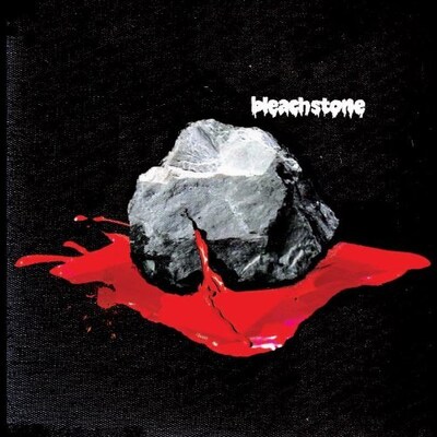 サユリは6月9日付けの日記で、「世の中、わかっているけどどうしようもないことだらけですね。どうにかしようと思って動いた結果、抜け殻です。ごめんなさい。」と綴っていた。なお、ミヤ（B,Vo）の日記は現在閲覧できない状態となっている（写真はニューアルバム「bleach stone」ジャケット）。