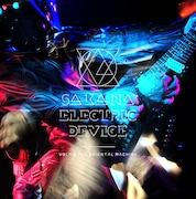 「SA-KA-NA ELECTRIC DEVICE」とは「電気仕掛けの魚」という意味。最近のVOLAサウンドを表現したかのようなタイトルだ。