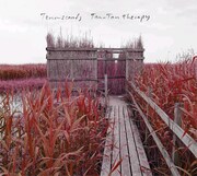 「バイババビンバ」が収録されているアルバム「タンタン・テラピー」のジャケット。