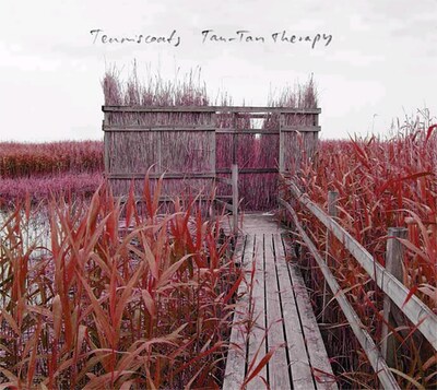 TAPEのヨハン・バットリングがプロデュースを担当した、テニスコーツの2007年のアルバム「タンタン・テラピー」。