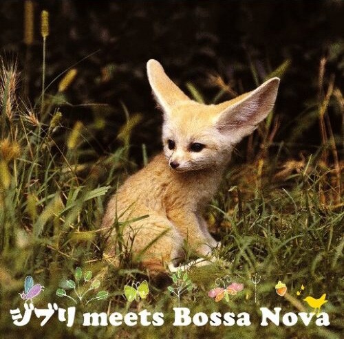 アルバム「ジブリ meets Bossa Nova」ジャケット