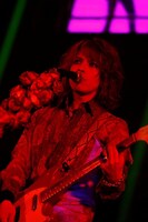 写真は右クリック禁止です（写真：田中和子）。