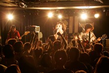 毛皮のマリーズ