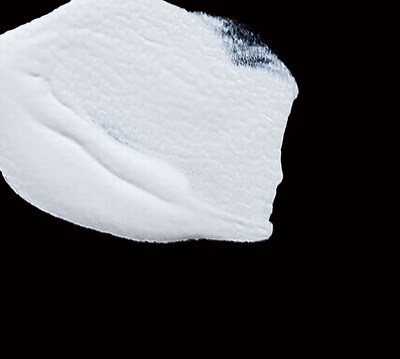 アルバム「オルカ」ジャケット写真