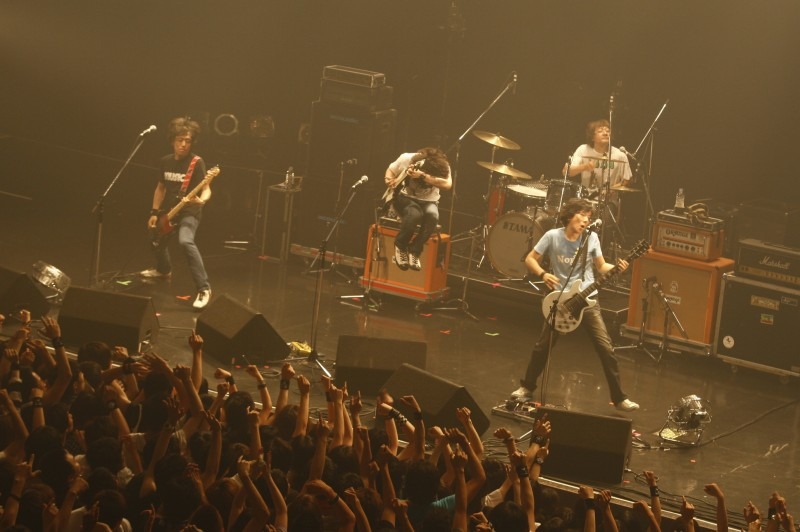 the pillows