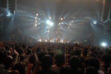 7月19日：ASIAN KUNG-FU GENERATION（PHOTO by TEPPEI）