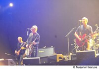 ポール・ウェラー