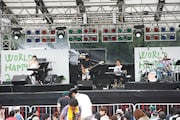 コトリンゴ