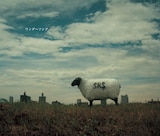 デビューシングル「Sometimes」が映画「重力ピエロ」の主題歌に起用され、脚光を浴びたS.R.S。今度の新曲はCMソングとしてオンエアされることから、お茶の間の注目を集めることになりそうだ(写真はシングル「ワンダーソング」ジャケット)。