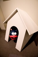 こっちを見るウナギイヌ。