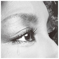 シングル「涙ノ音」ジャケット