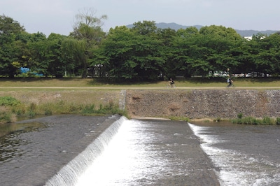 鴨川は京都市内を流れる一級河川。夏場は川に面した飲食店が川の上に納涼床を設置し、情緒あふれる京都の夏を演出する。