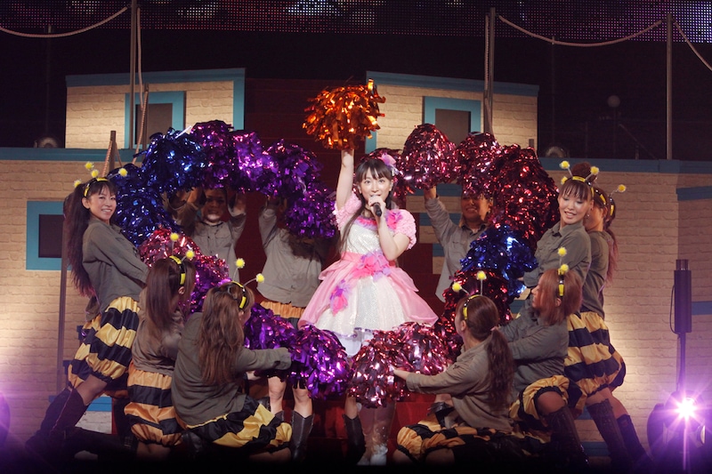 ダンサーたちが頭に付けている蜂の触角カチューシャは、グッズとしても販売されたもの。会場に集まった多くのファンが触角を揺らしながら声援を送っていた。