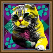 カクバリズムのオフィシャルMySpaceオープン