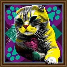 写真はMU-STARSの4年ぶり2枚目のフルアルバム「BGM LP」ジャケット。