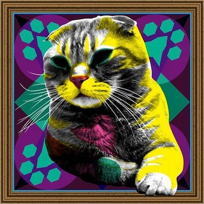 写真はMU-STARSの4年ぶり2枚目のフルアルバム「BGM LP」ジャケット。