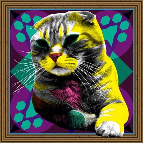 写真はMU-STARSの4年ぶり2枚目のフルアルバム「BGM LP」ジャケット。