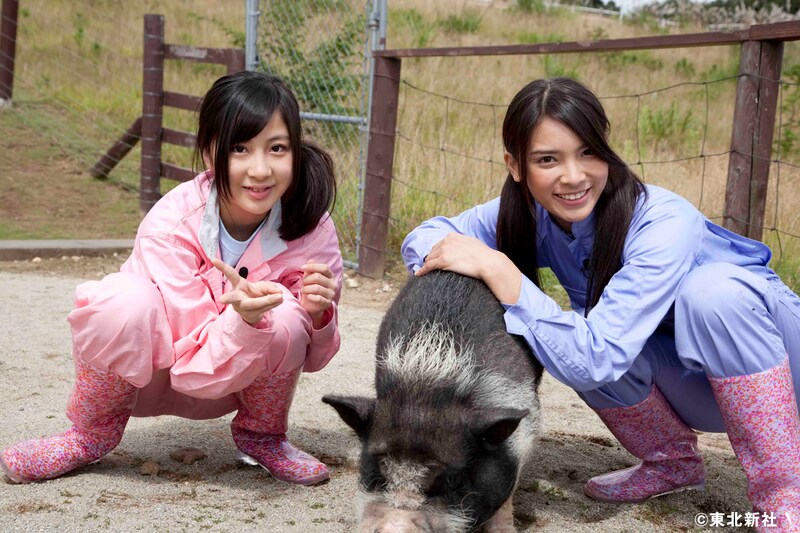 豚とたわむれる小野恵令奈＆秋元才加。