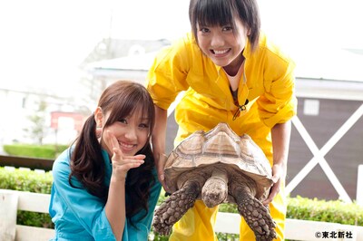 にっこりピースサインの松原夏海と、巨大な亀を持ち上げる宮澤佐江。