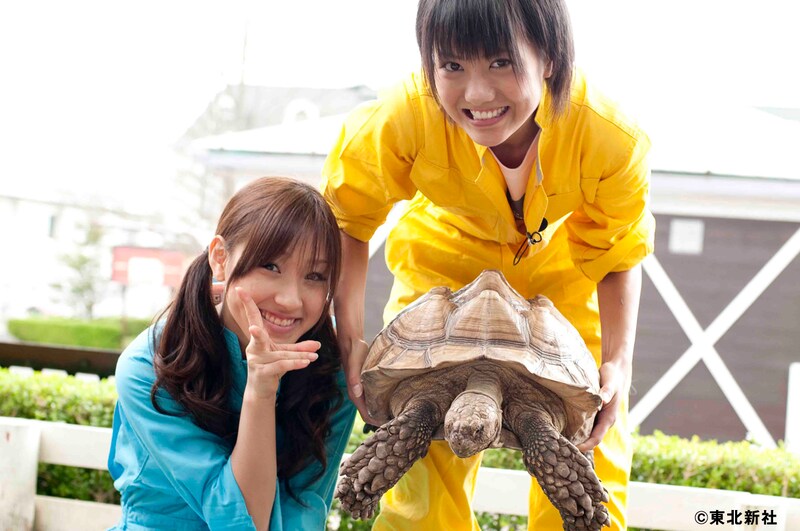 にっこりピースサインの松原夏海と、巨大な亀を持ち上げる宮澤佐江。