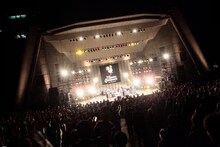 フラワーカンパニーズ