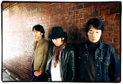 サニーデイ・サービスは12月以降、全国各地でイベントに出演。それらに参加できない人や、まだ再結成後の彼らのステージを観ていないファンにとっては、貴重なDVDとなりそうだ。