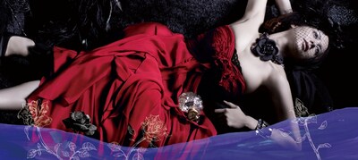 3月3日のライブでは、会場限定の初DVD「LIV MOON the story～幻影～」も販売。一般流通の予定は今のところないので、ぜひ会場で手に入れよう。