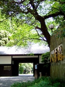 八芳園入口付近の美しい景観。まもなく紅葉が楽しめる季節だ。