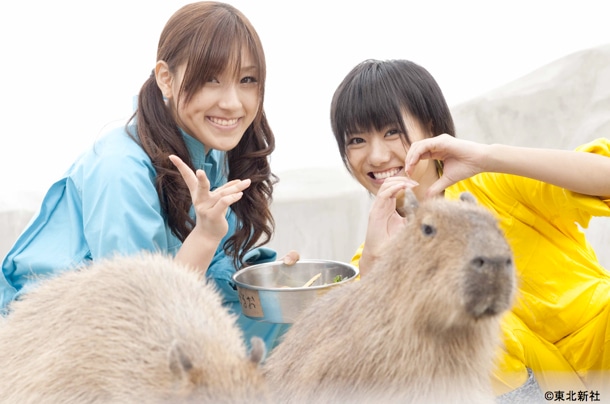 「AKB48ネ申テレビ シーズン3」より