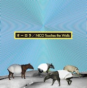 NICO Touches the Walls、熱狂の野音ライブを映像化