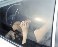 車の中に女性。手元には何やらふわふわの物体が。