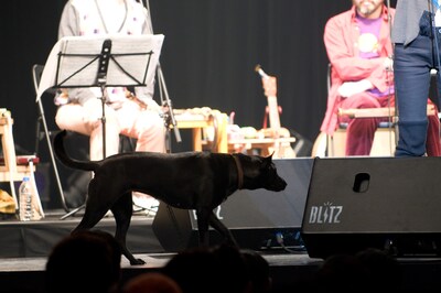 UAの愛犬ポポ・ルイーズは、ステージ上をトコトコと歩き回る。