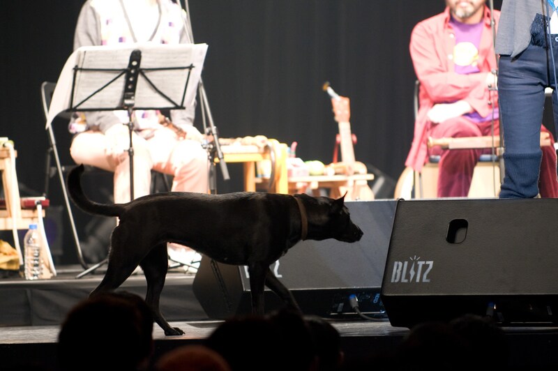 UAの愛犬ポポ・ルイーズは、ステージ上をトコトコと歩き回る。