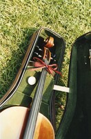 盗難にあったYukkoのチェロ（上部拡大写真）。