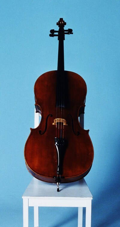 チェロの全体写真。