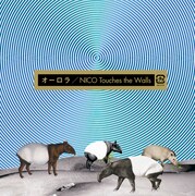 アルバム「オーロラ」ジャケット写真