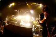 写真は11月26日のZepp Tokyoツアーファイナルの様子。