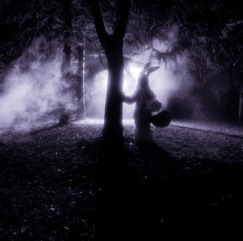 「エレヴェーターに乗って」を収録したシングル「命ノゼンマイ」のジャケット写真。タイトル曲は映画「彼岸島」の主題歌に起用されている。