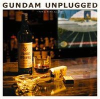 「GUNDAM UNPLUGGED ～アコギ de ガンダム A.C.2009～」のジャケット写真。