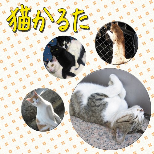 写真はアルバム「猫かるた」ジャケット。コミケ会場では特別価格2000円で購入することができる。
