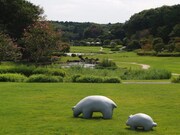 会場となる笠間芸術の森公園の様子。