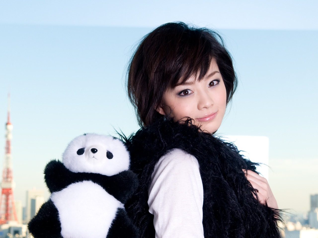 PANDA 1/2