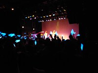 サイリウムを振り回し声援を送る熱心なファン。