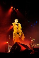 EGO-WRAPPIN' AND THE GOSSIP OF JAXX