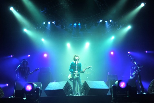the pillows