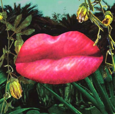 写真は10月21日に発売されたHiMの最新アルバム「ん」。原田郁子や女優の菊池凛子、múmのメンバーなどがゲスト参加した。