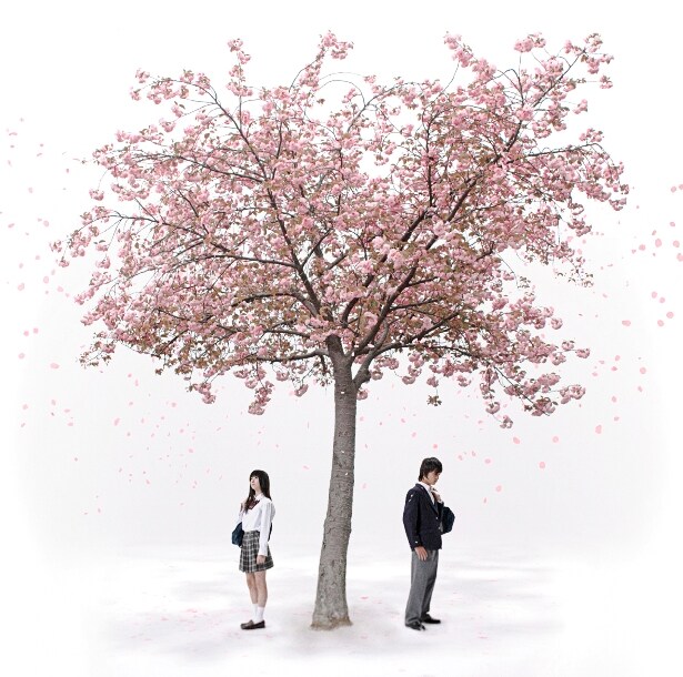 シングル「終わりと始まり/Lost Boy」通常盤ジャケット（写真）には、「終わりと始まり」ビデオクリップに参加している中島愛蘭の姿も。