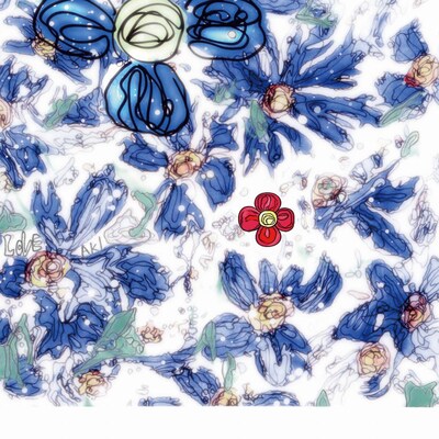 GENERAL HEAD MOUNTAINは、2月11日よりアルバム「深まる日々に、微笑みを。」を携えワンマン公演を含むライブハウスツアー「花笑み編」を開催。