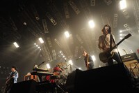 ストレイテナー