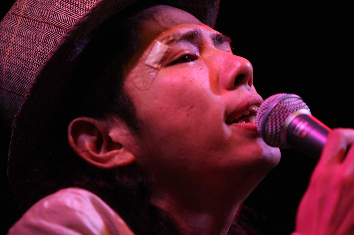 THE MICETEETH (c)ryu kasai